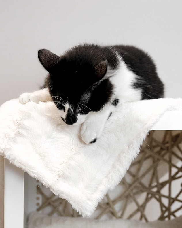 Coperta per gatti in pelliccia sintetica design donarturo