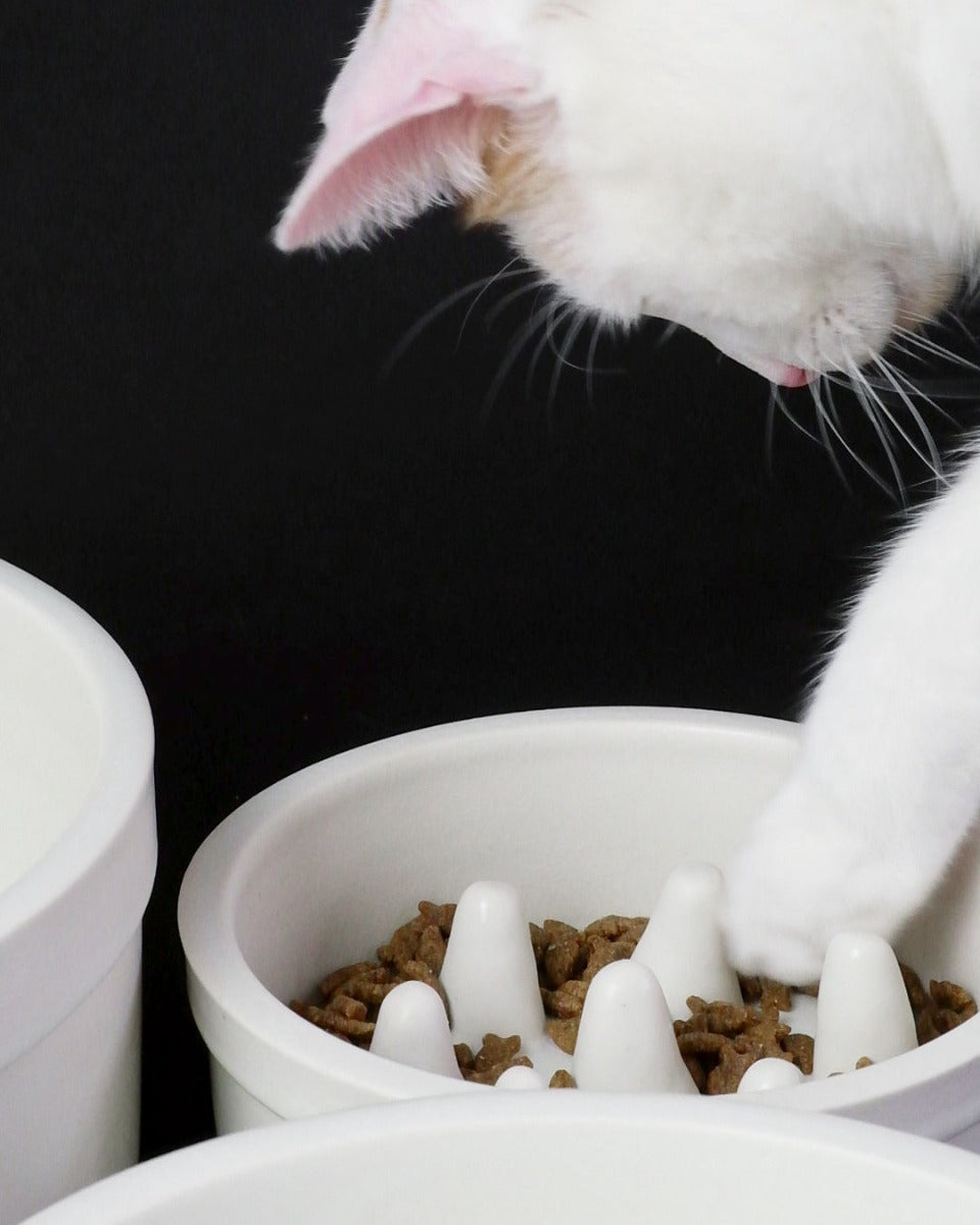 Ciotola anti ingozzamento per gatti in ceramica Donarturo