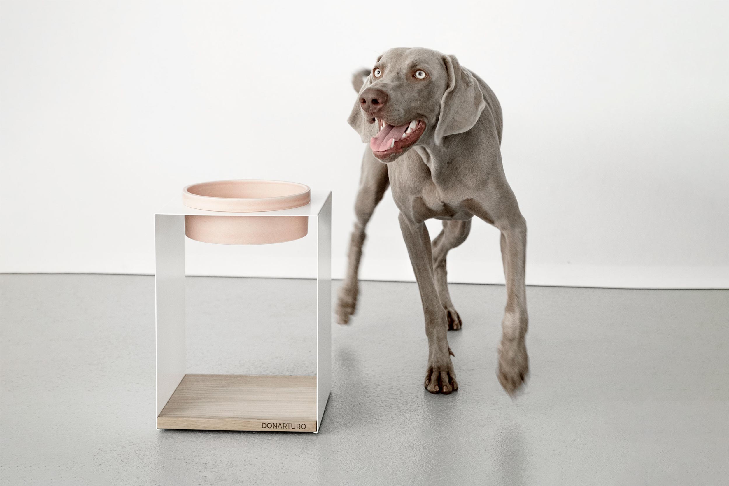 Porta ciotole pet design Donarturo Teccà