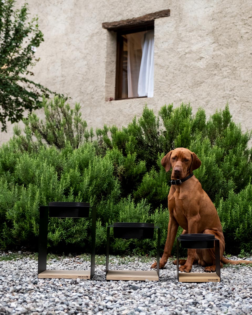 Portaciotole per cani design Donarturo pet design