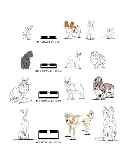 In che posizione deve mangiare un cane? Donarturo pet design 