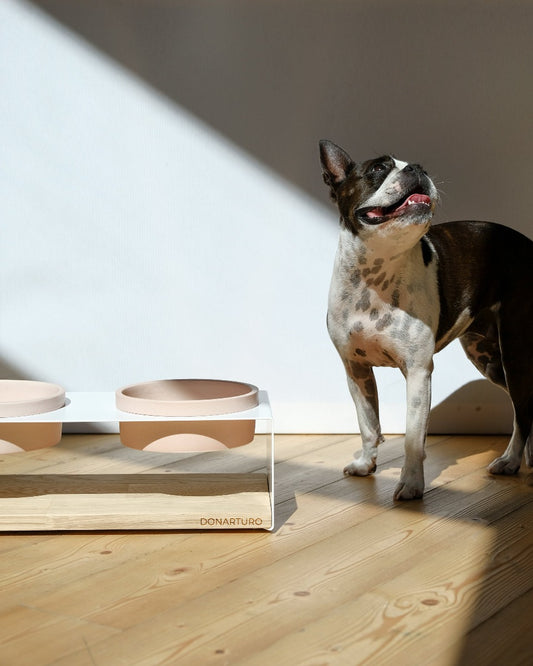 Porta ciotole boston terrier design Donarturo