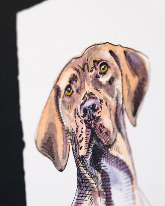 ritratto dipinto a mano acquerello cane dettaglio Giuseppa M. Scaccia per Donarturo
