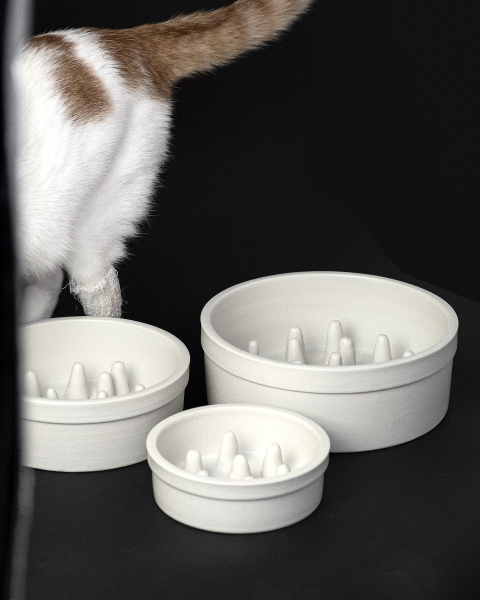 Ciotole slow-feed in ceramica per cani e gatti Donarturo