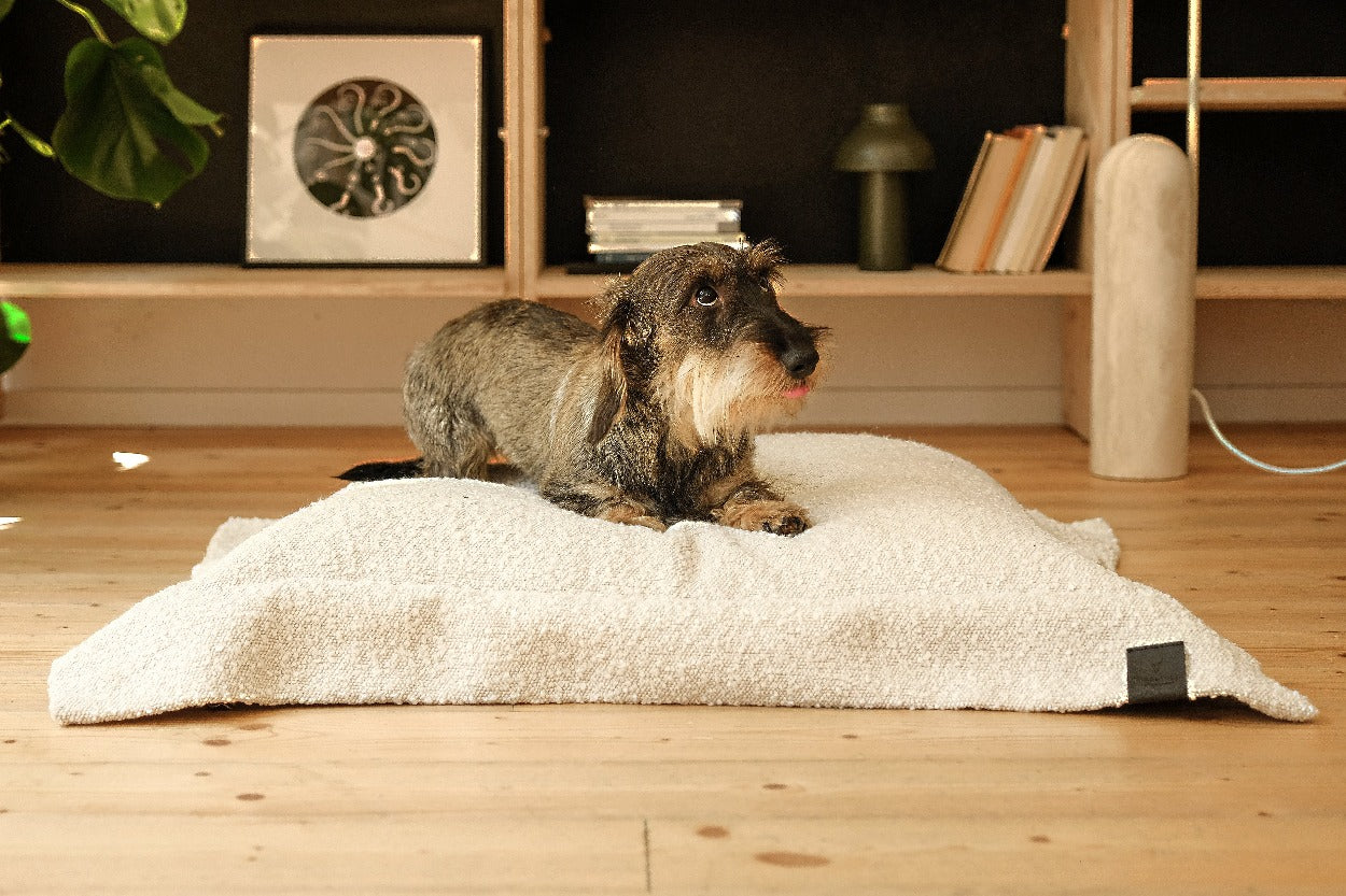 Bassotto su cuscino lavabile per cani Raviolo design Donarturo 