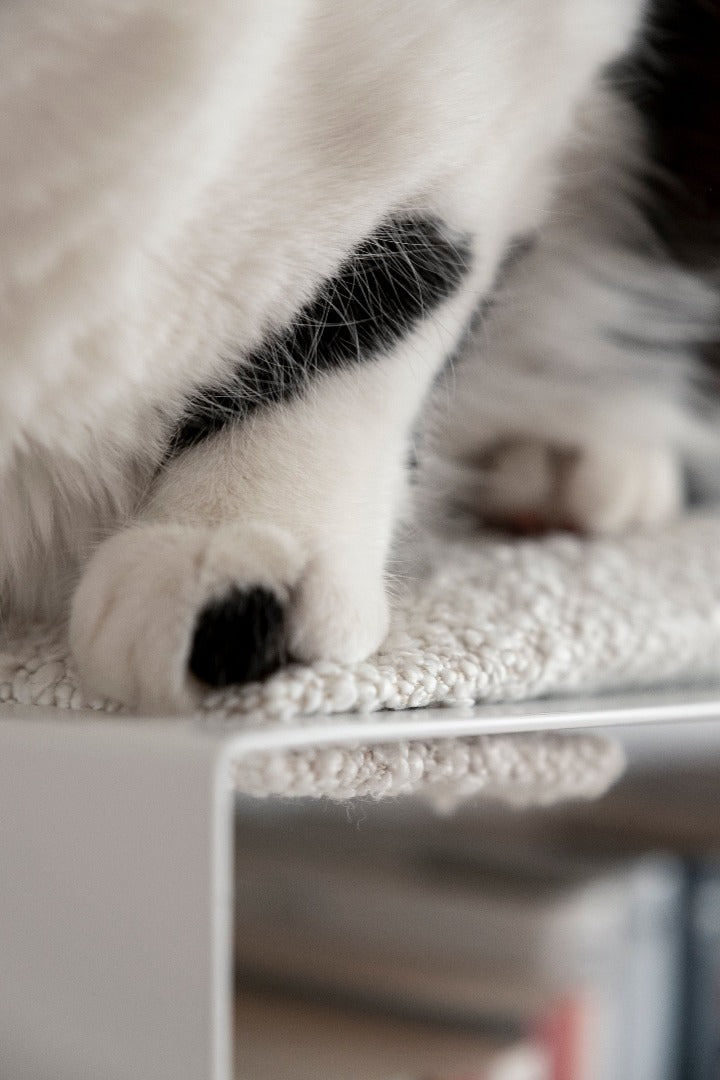 dettaglio mensole per gatti sospese DONARTURO cat furniture