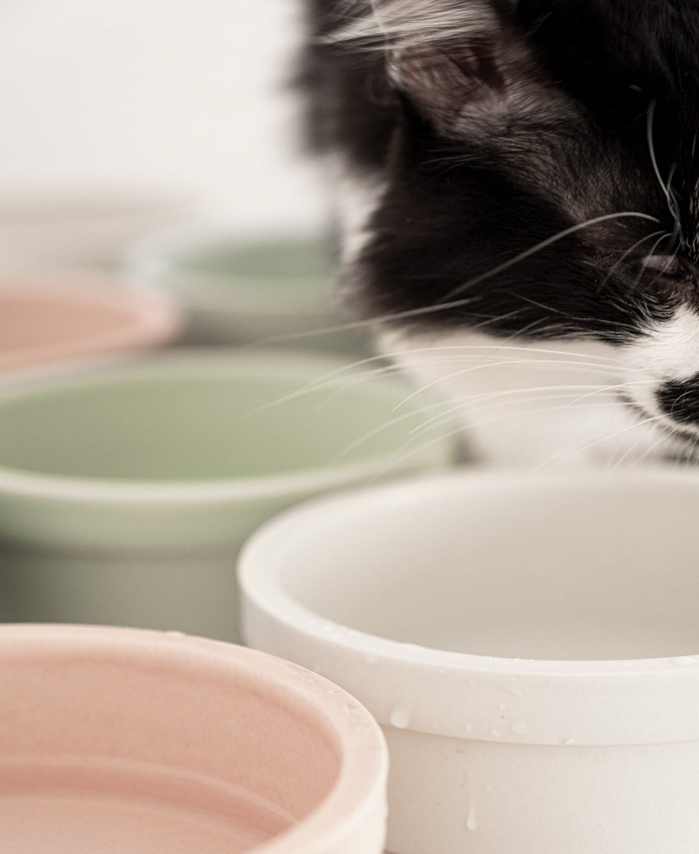 bowl ciotole in ceramica donarturo pet design