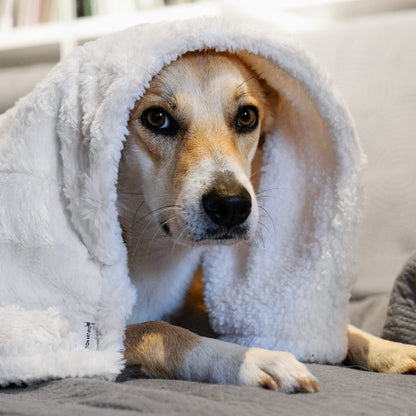 coperta per cani in pelliccia ecologica DONARTURO