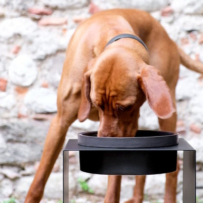 Porta ciotole rialzato per cani Teccà XL DONARTURO pet design 