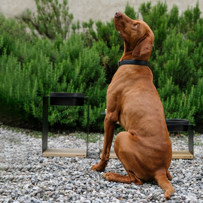 Bracco con porta ciotole per cani taglia grande Donarturo Pet design 