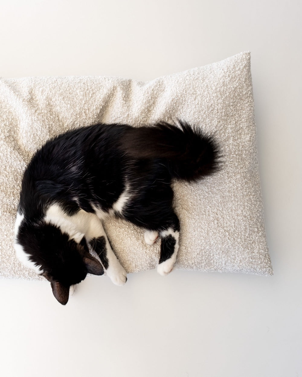 UN TUBO! PILLOW  cushion for cats and small dogs – Donarturo _ pet  inspired design