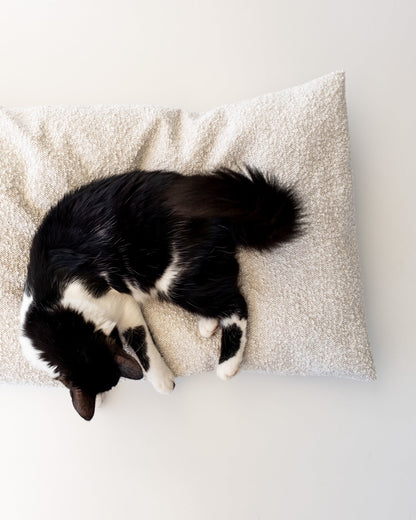 cuscino per gatti guanciale Un tubo design Donarturo