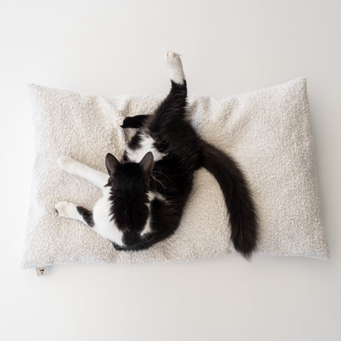 cuscino-per-gatti-e-cani-dog-bed-cushion