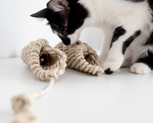 Giochi gatto cannolo mignon Donarturo Cat toys