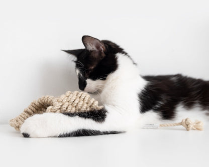 Cat toys giochi per gatti Cannolo Donarturo
