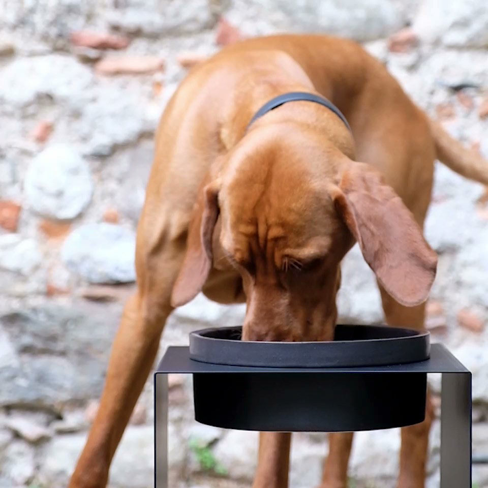 Donarturo bowl stand porta ciotole per cani grandi design