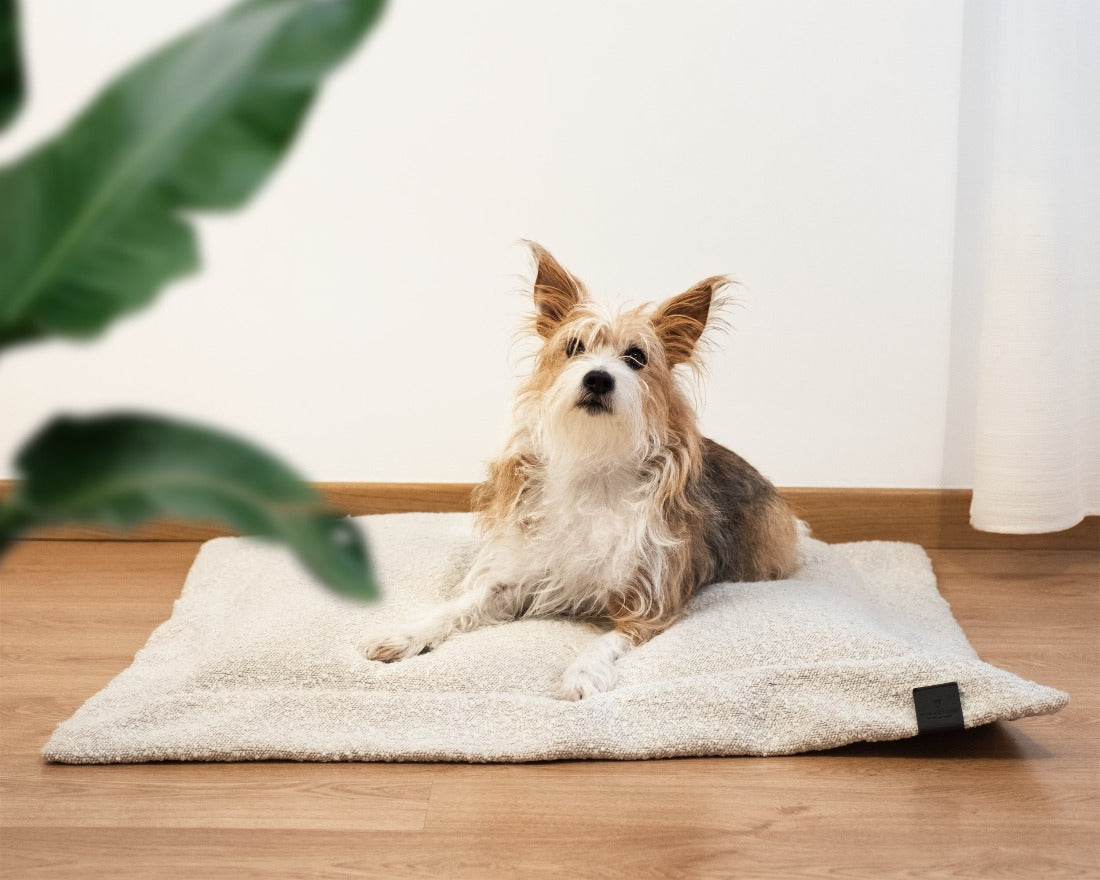 Cuscino per cani handmade RAVIOLO Donarturo pet design