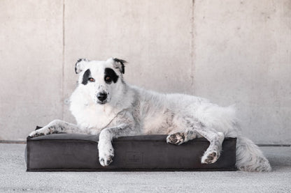 Cuscino per cani lavabile tessuto anti macchia donarturo pet design 