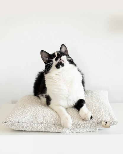 cat-bed-cushion-for-cats-Katzenkissen-donarturo