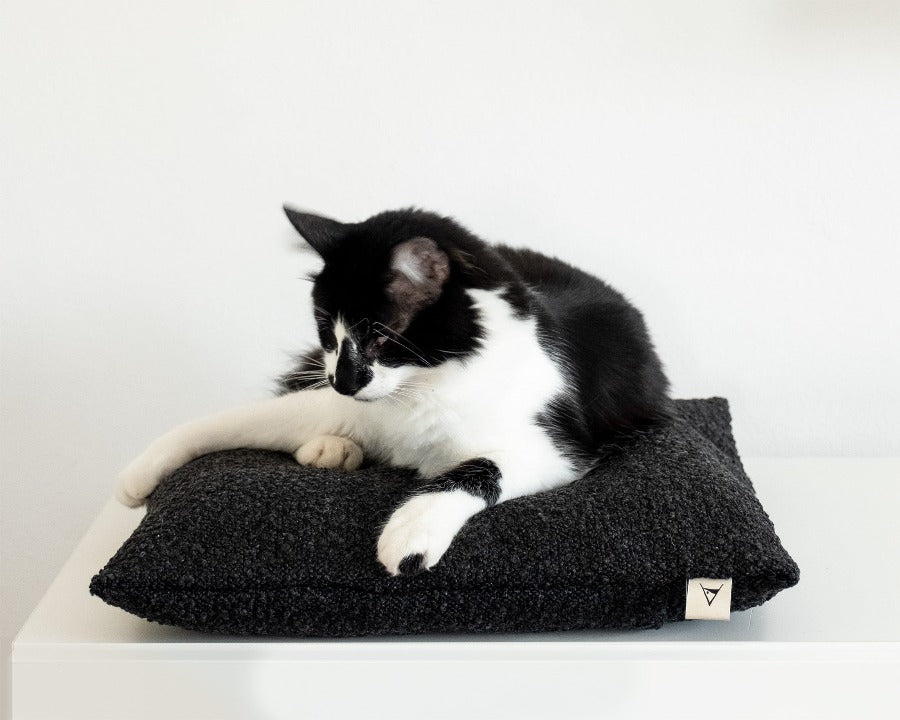 cuscino cuccia per gatti Katzenkissen DONARTURO 