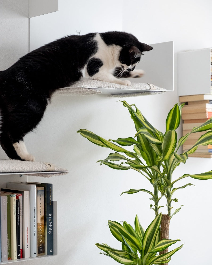 PERCORSO parete mensole per gatti donarturo design