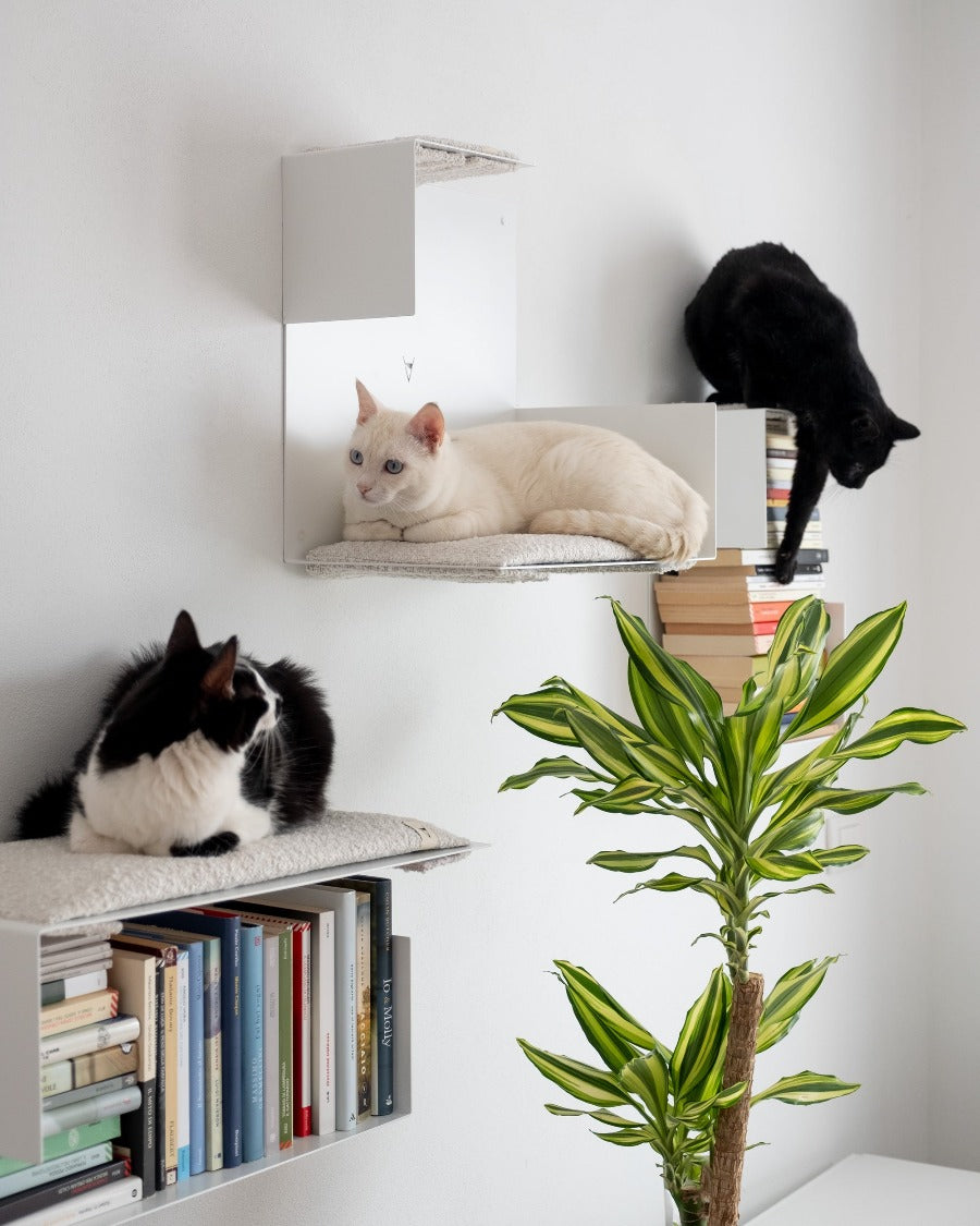 Parete attrezzata per gatti climbing wall for cat Sottosopra DONARTURO