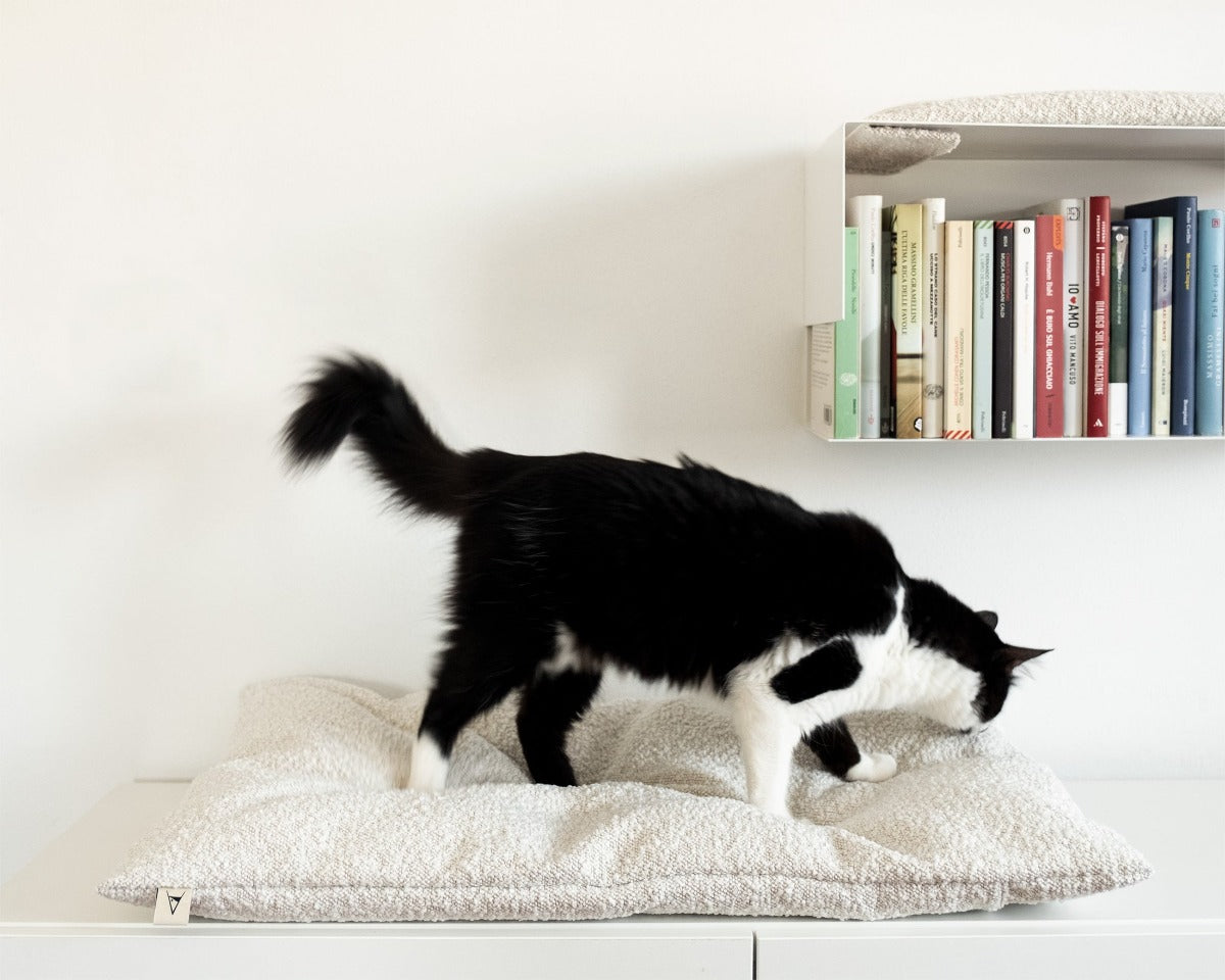 cuscino per gatti-cat-bed-Katzenkissen-donarturo