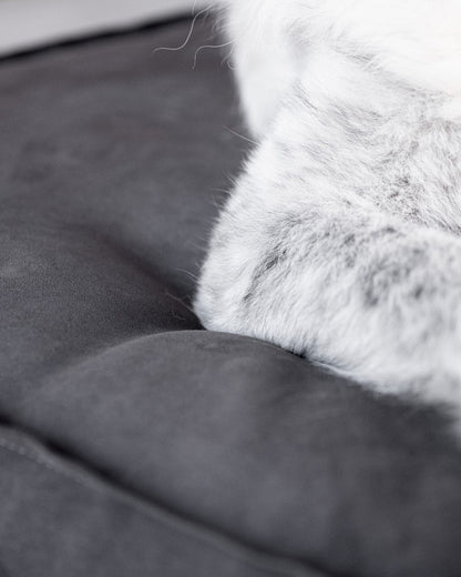 Cuscino Lasagna dettaglio comfort Donarturo pet design 