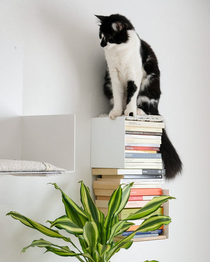 MENSOLA per gatti e LIBRERIA – Donarturo _ pet inspired design